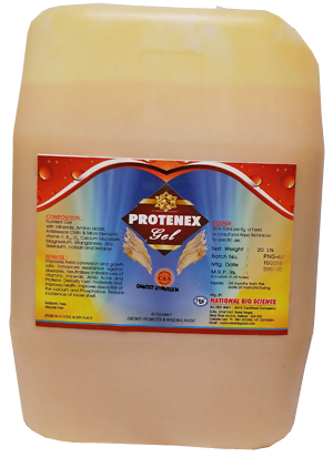 Protenex Gel